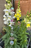 Sun Catcher - Sun | Star | Planet - FREE POSTAGE