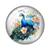 Peacock Glass 12mm Cabochons