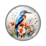 12mm Glass Kingfisher Bird Cabochons