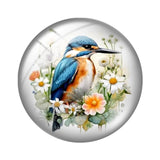 12mm Glass Kingfisher Bird Cabochons