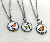 Stainless Steel Robin & Blue Tit Earrings and Necklace Set – Hypoallergenic, Anti-Tarnish Bird Jewellery, Gift for Nature Lovers