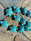 Turquoise Turtle Beads ( Synthetic ) 17mm