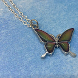 Mood Colour Changing Butterfly Pendants Size 28mm