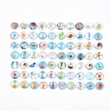 12mm Shell Glass Cabochon