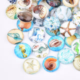 12mm Shell Glass Cabochon
