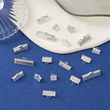Ribbon Ends, Silver, Multi Size Pack Hole: 2mm