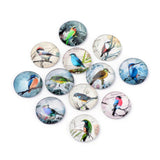 12mm Glass Bird Cabochons