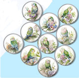 12mm Glass Parakeet Bird Cabochons