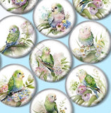 12mm Glass Parakeet Bird Cabochons