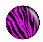 Pink and Black 12mm Zebra Print Glass Cabochons