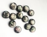 10mm or 12mm Resin Shell Cabochons