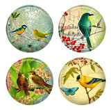 12mm Glass Bird Cabochons