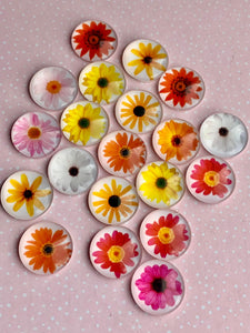 Pair of 20mm Flower Glass Cabochons