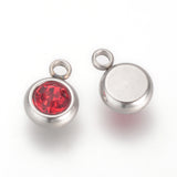 Stainless Steel Birthstone Charms