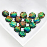 12mm Resin Abalone Shell Cabochons