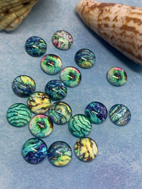 Abalone Cabochons, 10mm and 12mm