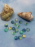 Abalone Cabochons, 10mm and 12mm