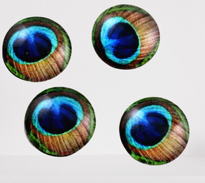 Peacock Pattern 12mm Cabochons